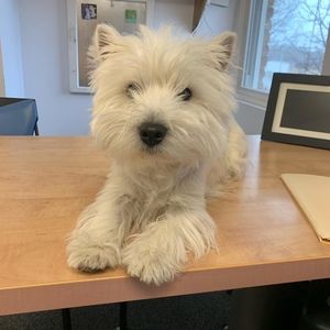 Meet your Posher, Traci